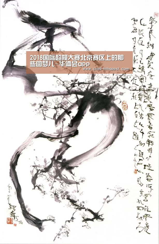 华体会app