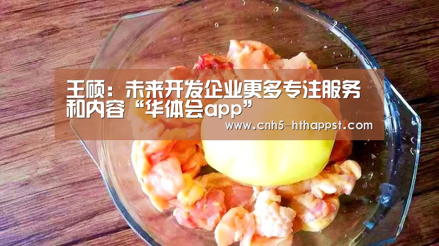 王硕:未来开发企业更多专注服务和内容“华体会app”